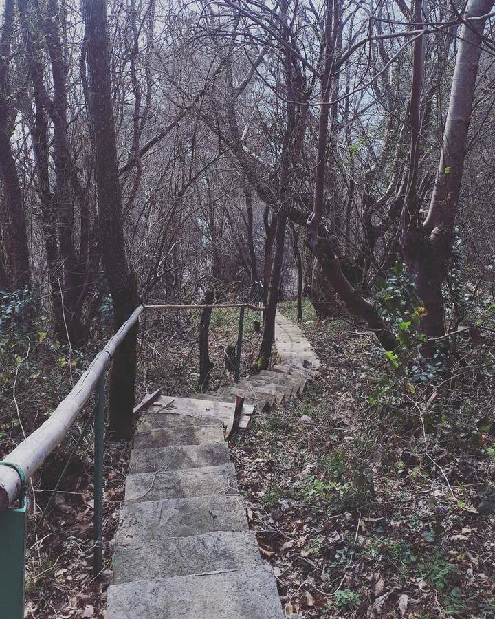 Фото Гостевого дома Мини Отель Багрыпста Цандрыпш 29